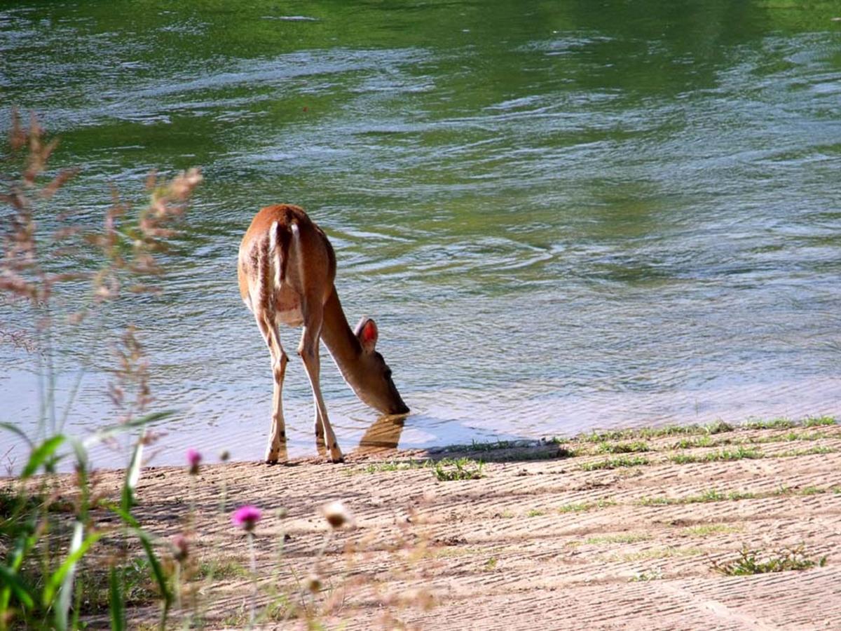 Colorado River Rv Campground Columbus Zewnętrze zdjęcie